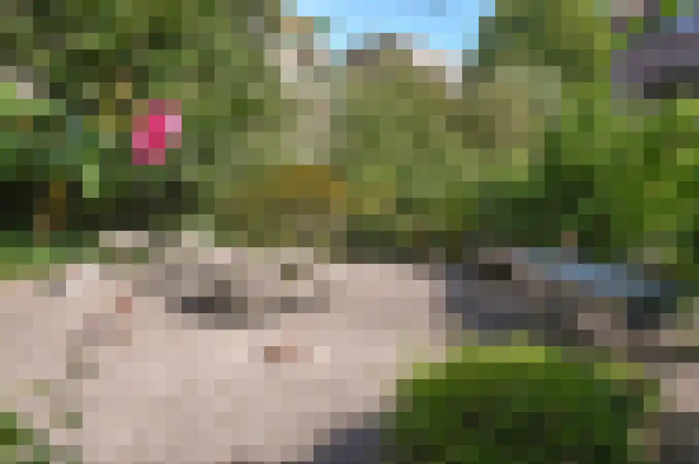 Zevenwouden 68 Utrecht thumbnail 18