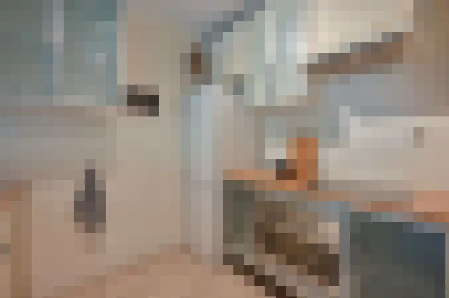 Zevenwouden 68 Utrecht thumbnail 9