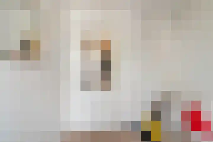 Zevenwouden 9 Emmeloord thumbnail 26