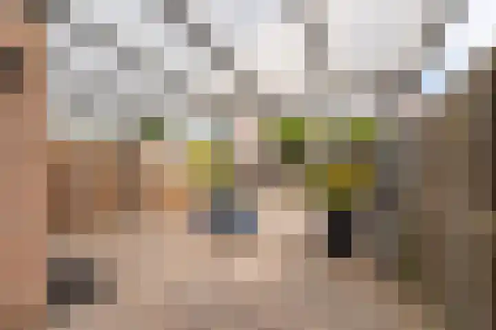 Zevenwouden 9 Emmeloord thumbnail 28