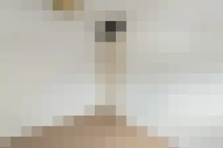 Zevenwouden 9 Emmeloord thumbnail 41