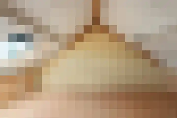 Zevenwouden 9 Emmeloord thumbnail 42