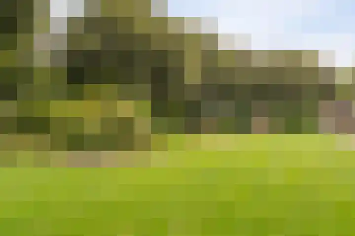 Zevenwouden 9 Emmeloord thumbnail 45