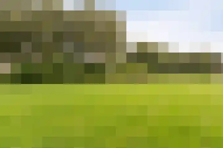 Zevenwouden 9 Emmeloord thumbnail 46