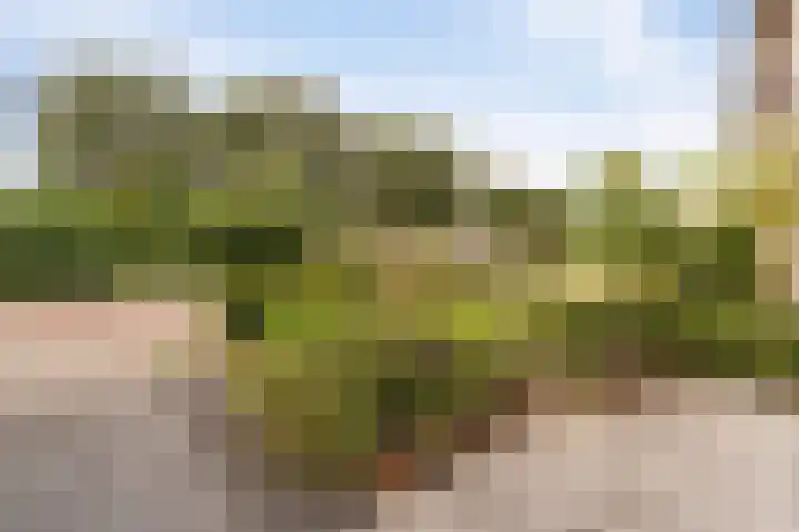 Zevenwouden 9 Emmeloord thumbnail 5