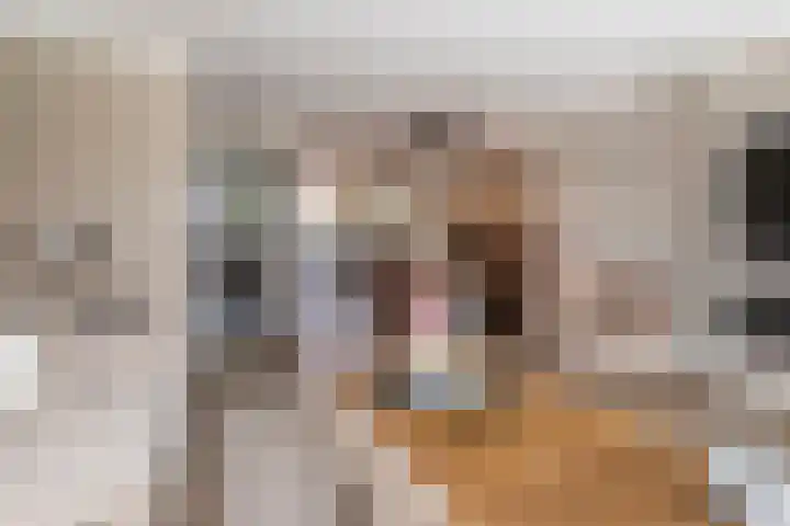 Zevenwoudenlaan 11 Den Haag thumbnail 13