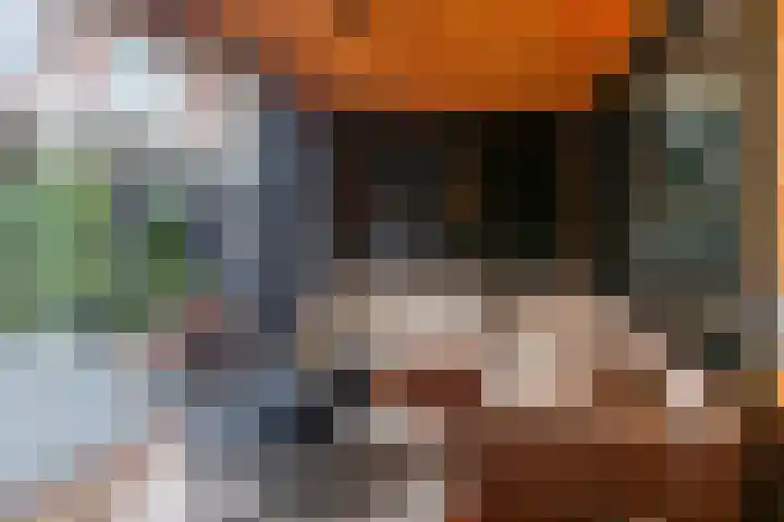 Zevenwoudenlaan 11 Den Haag thumbnail 17