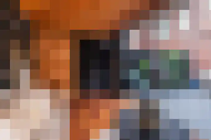 Zevenwoudenlaan 11 Den Haag thumbnail 18