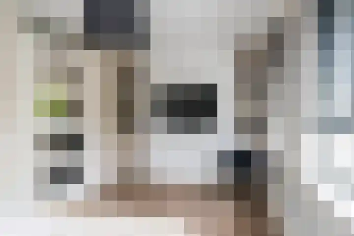 Zevenwoudenlaan 11 Den Haag thumbnail 21