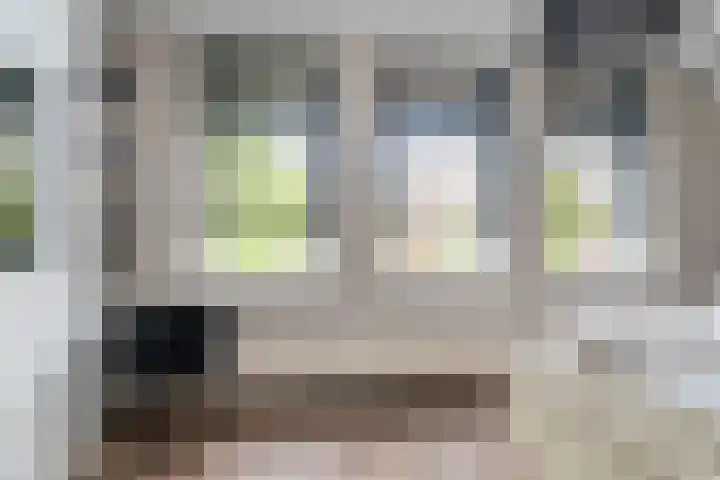 Zevenwoudenlaan 11 Den Haag thumbnail 22