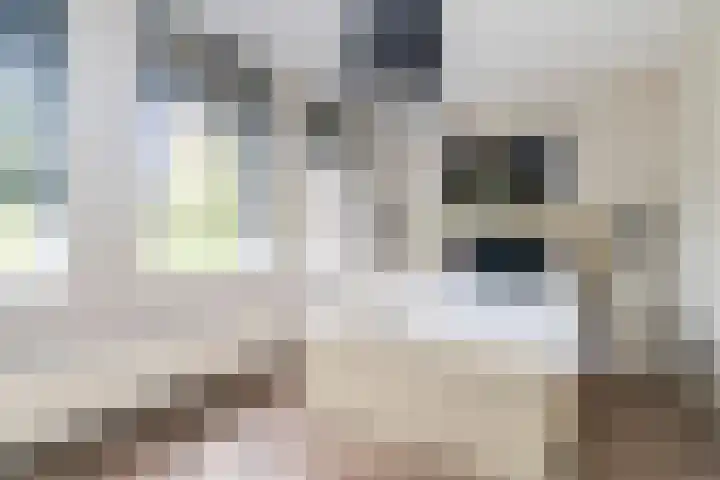 Zevenwoudenlaan 11 Den Haag thumbnail 23