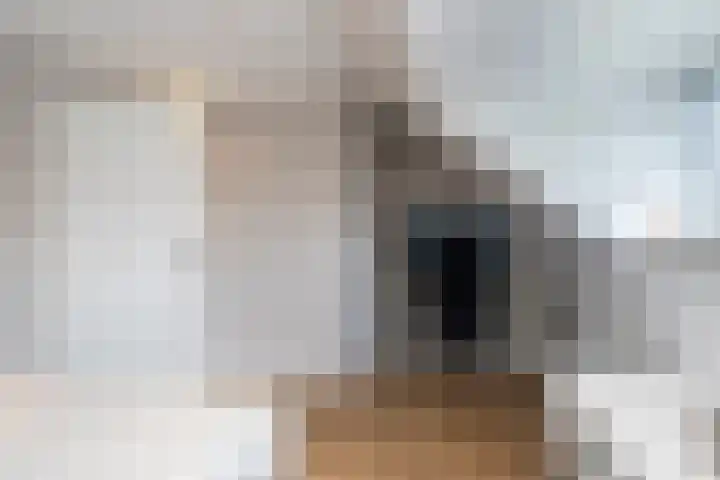 Zevenwoudenlaan 11 Den Haag thumbnail 31