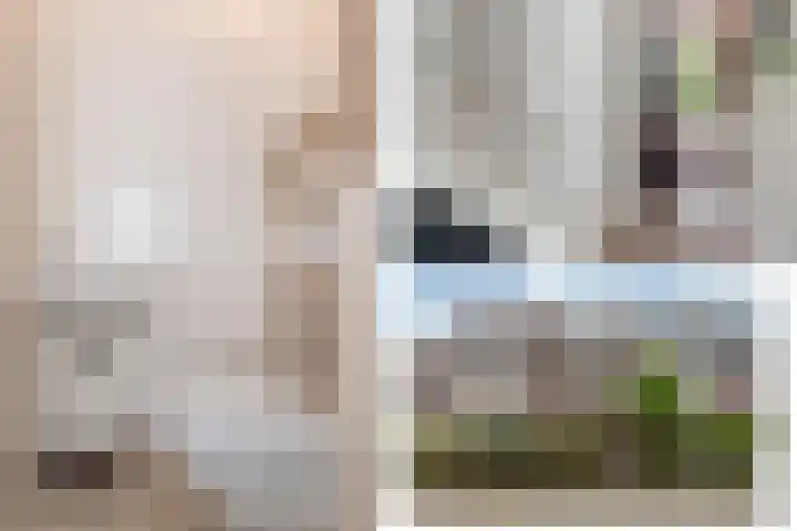 Zevenwoudenlaan 11 Den Haag thumbnail 35