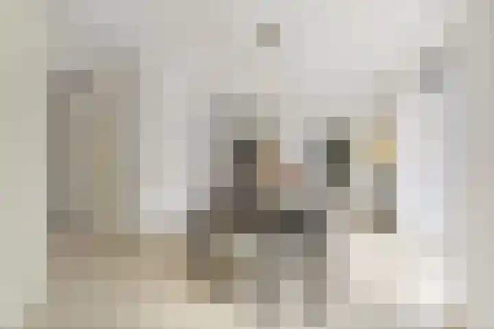 Zevenwoudenlaan 213 Den Haag thumbnail 20