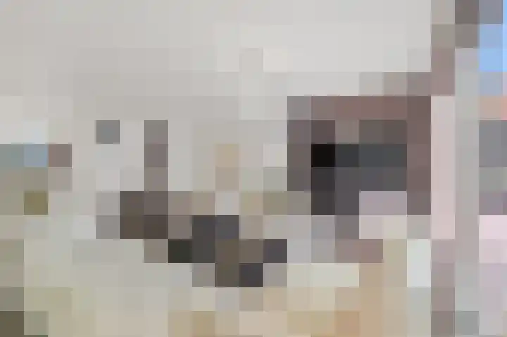 Zevenwoudenlaan 213 Den Haag thumbnail 8
