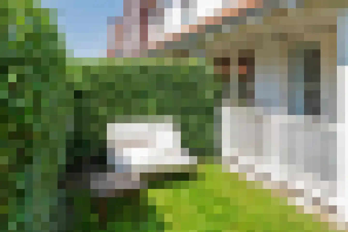 Zevenwoudenlaan 231 Den Haag thumbnail 10