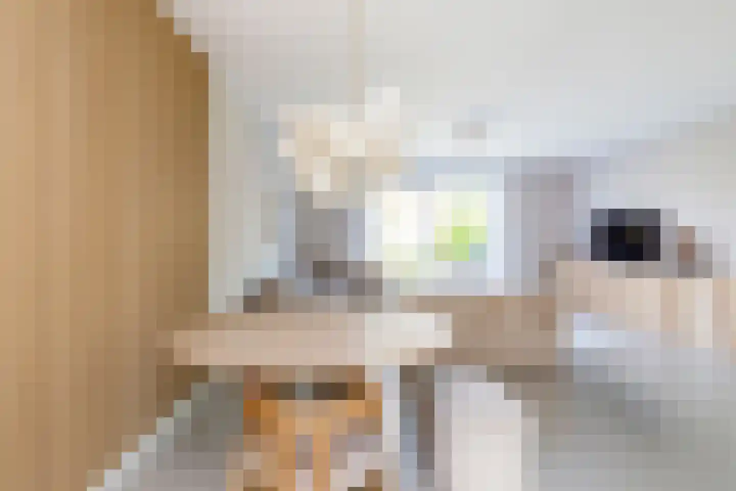 Zevenwoudenlaan 231 Den Haag thumbnail 14