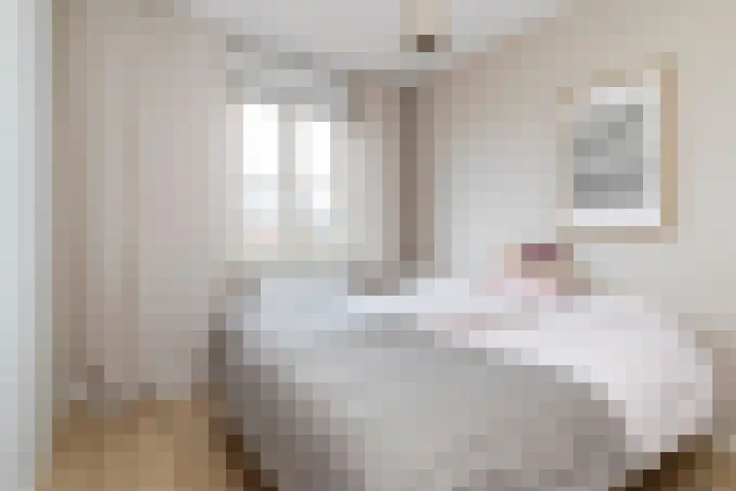 Zevenwoudenlaan 231 Den Haag thumbnail 23