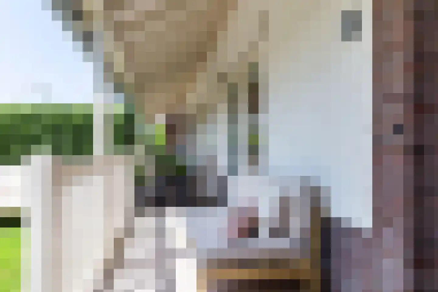 Zevenwoudenlaan 231 Den Haag thumbnail 4