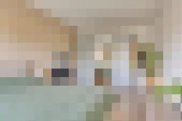 Zevenwoudenlaan 247 Den Haag thumbnail 14