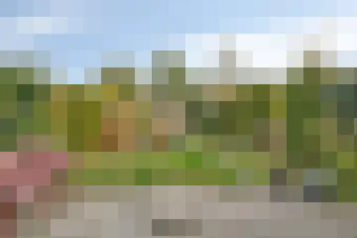 Zevenwoudenlaan 247 Den Haag thumbnail 23