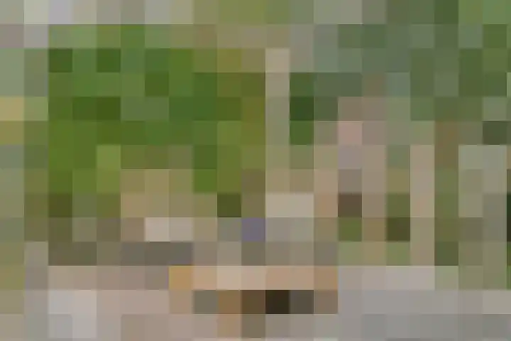 Zevenwoudenlaan 247 Den Haag thumbnail 25