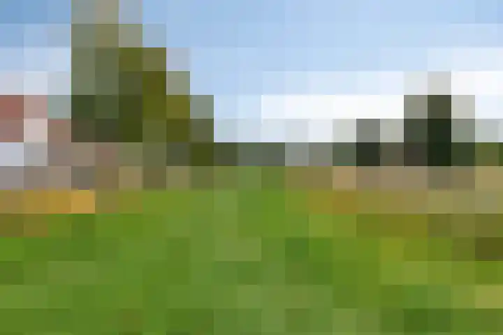 Zevenwoudenlaan 247 Den Haag thumbnail 32