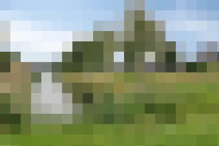 Zevenwoudenlaan 247 Den Haag thumbnail 33