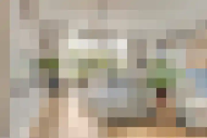 Zevenwoudenlaan 247 Den Haag thumbnail 7