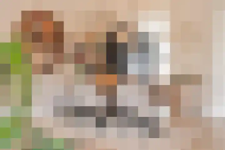 Zevenwoudenlaan 247 Den Haag thumbnail 8