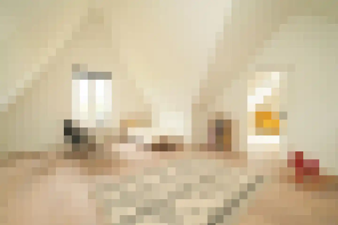 Zevenwoudenlaan 40 Den Haag thumbnail 32