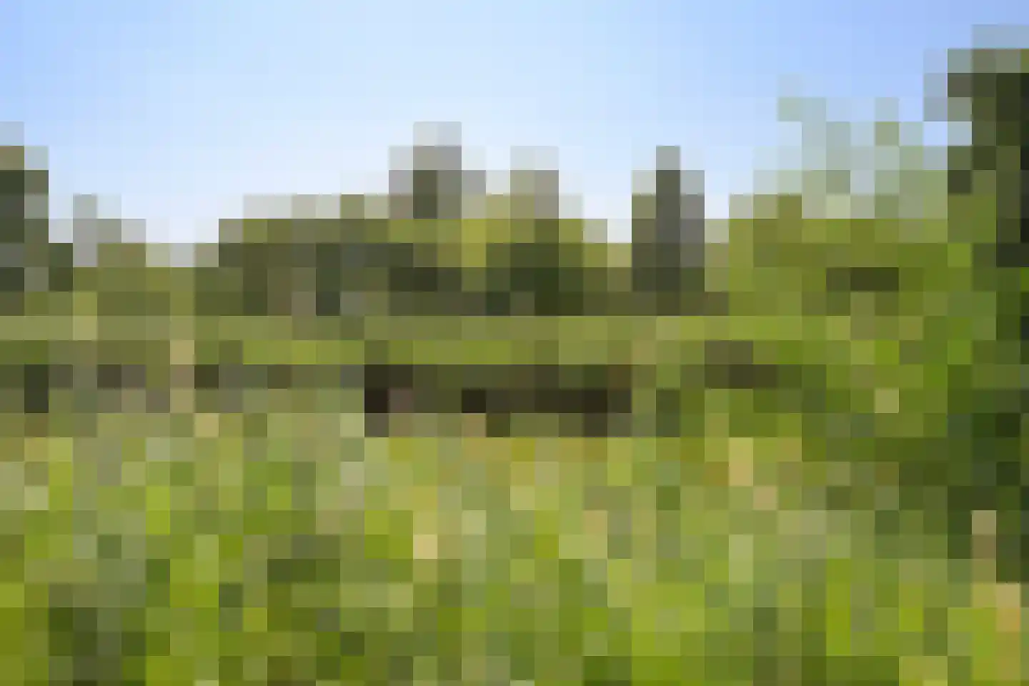 Zevenwoudenlaan 40 Den Haag thumbnail 46