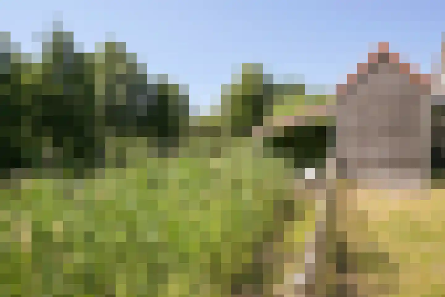 Zevenwoudenlaan 40 Den Haag thumbnail 47