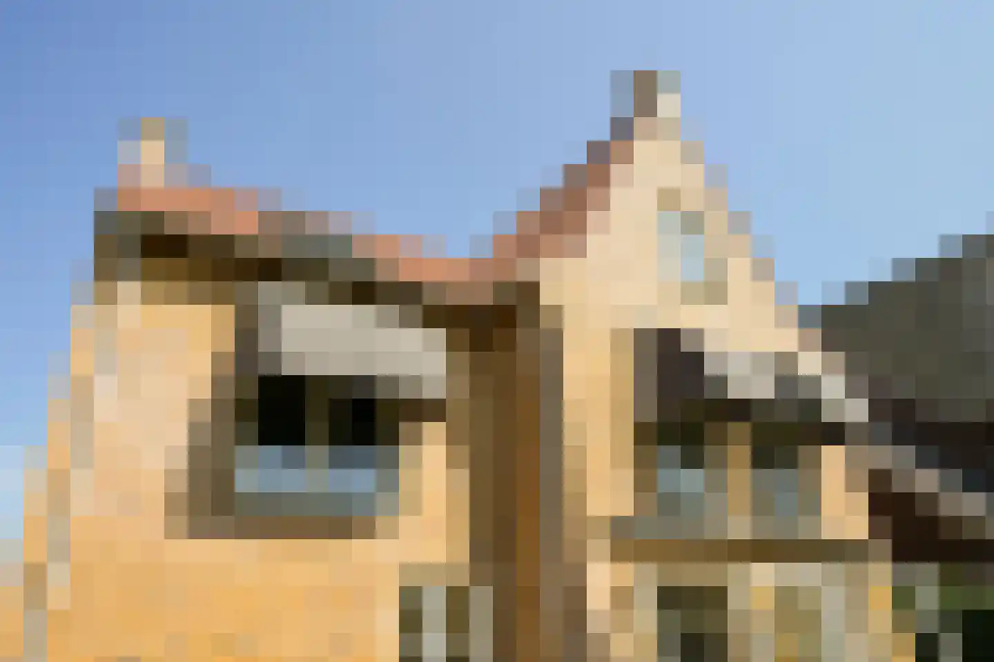 Zevenwoudenlaan 40 Den Haag thumbnail 56