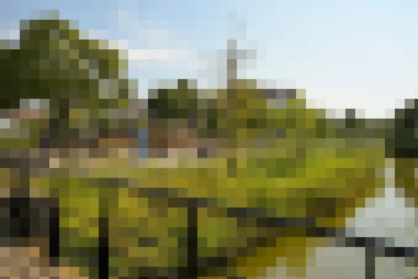 Zevenwoudenlaan 40 Den Haag thumbnail 63