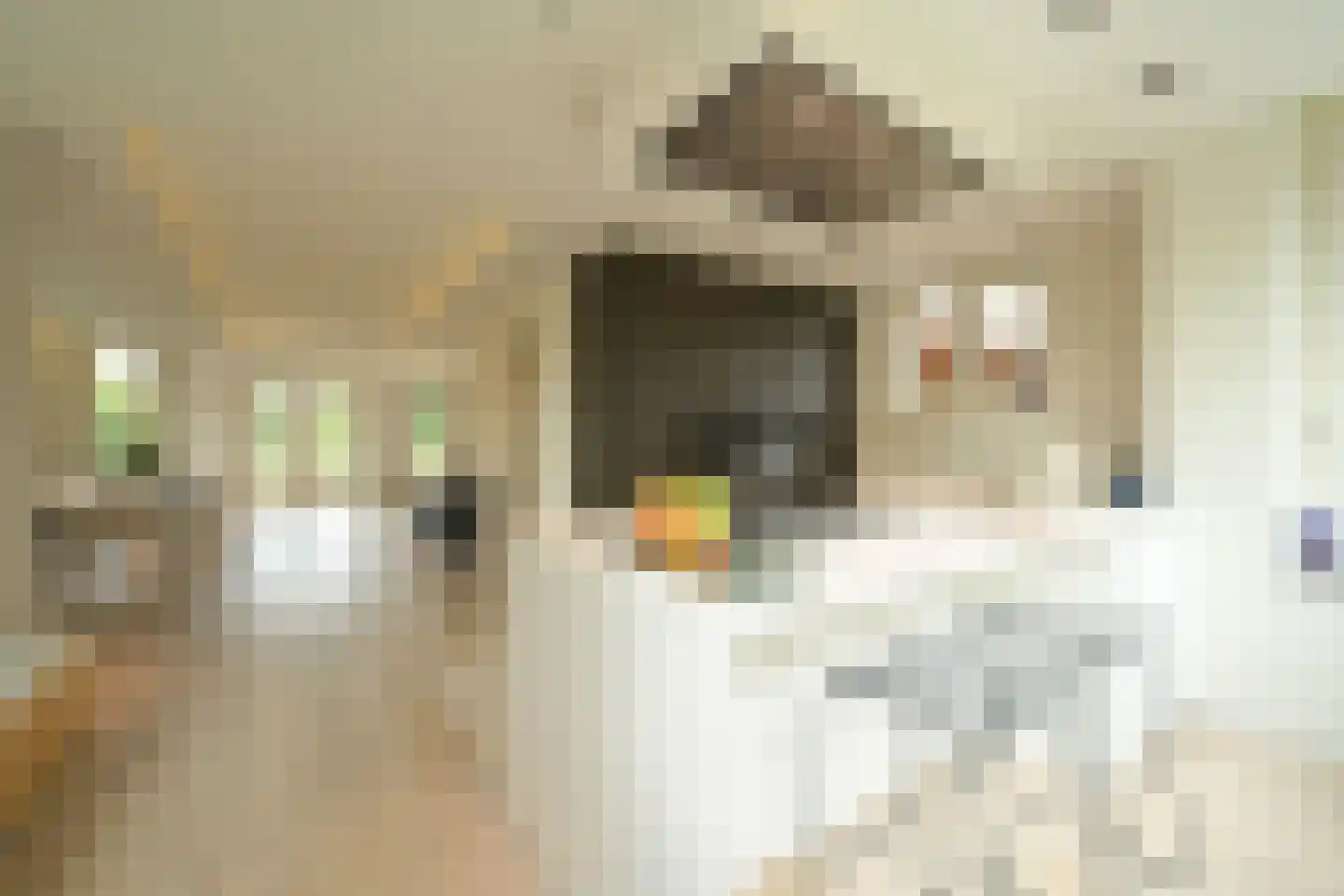 Zevenwoudenlaan 40 Den Haag thumbnail 8
