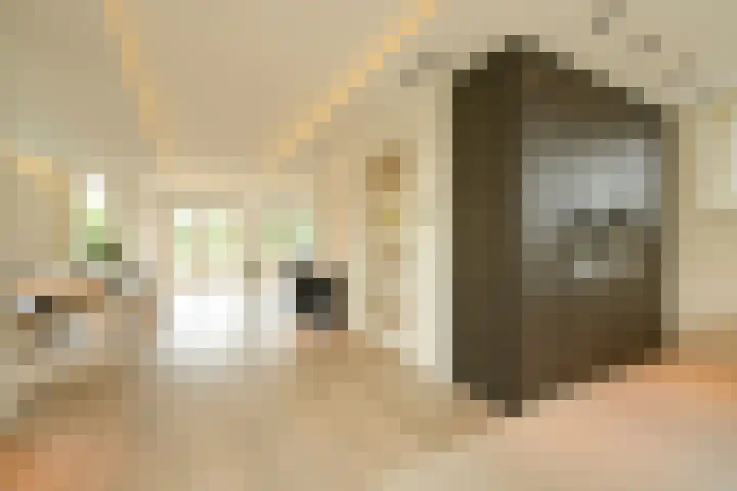 Zevenwoudenlaan 40 Den Haag thumbnail 9
