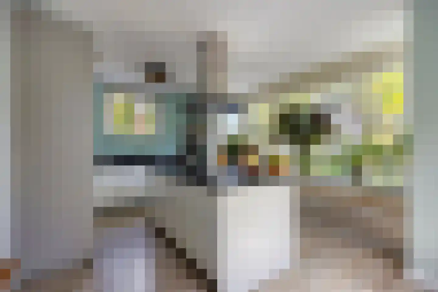 Zevenwoudenlaan 46 Den Haag thumbnail 12
