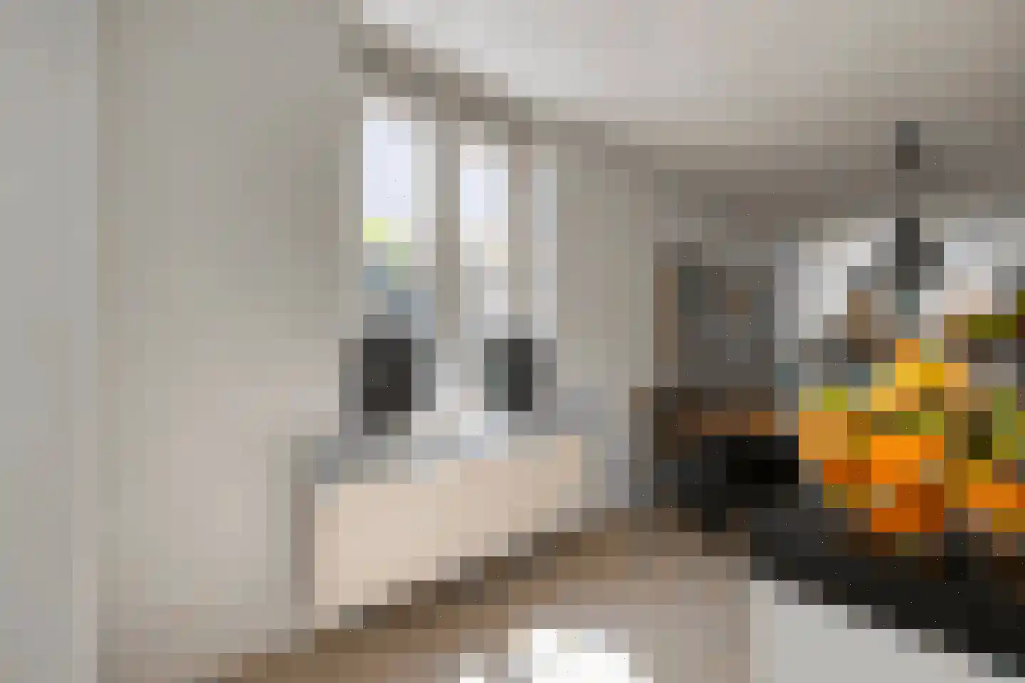 Zevenwoudenlaan 46 Den Haag thumbnail 18