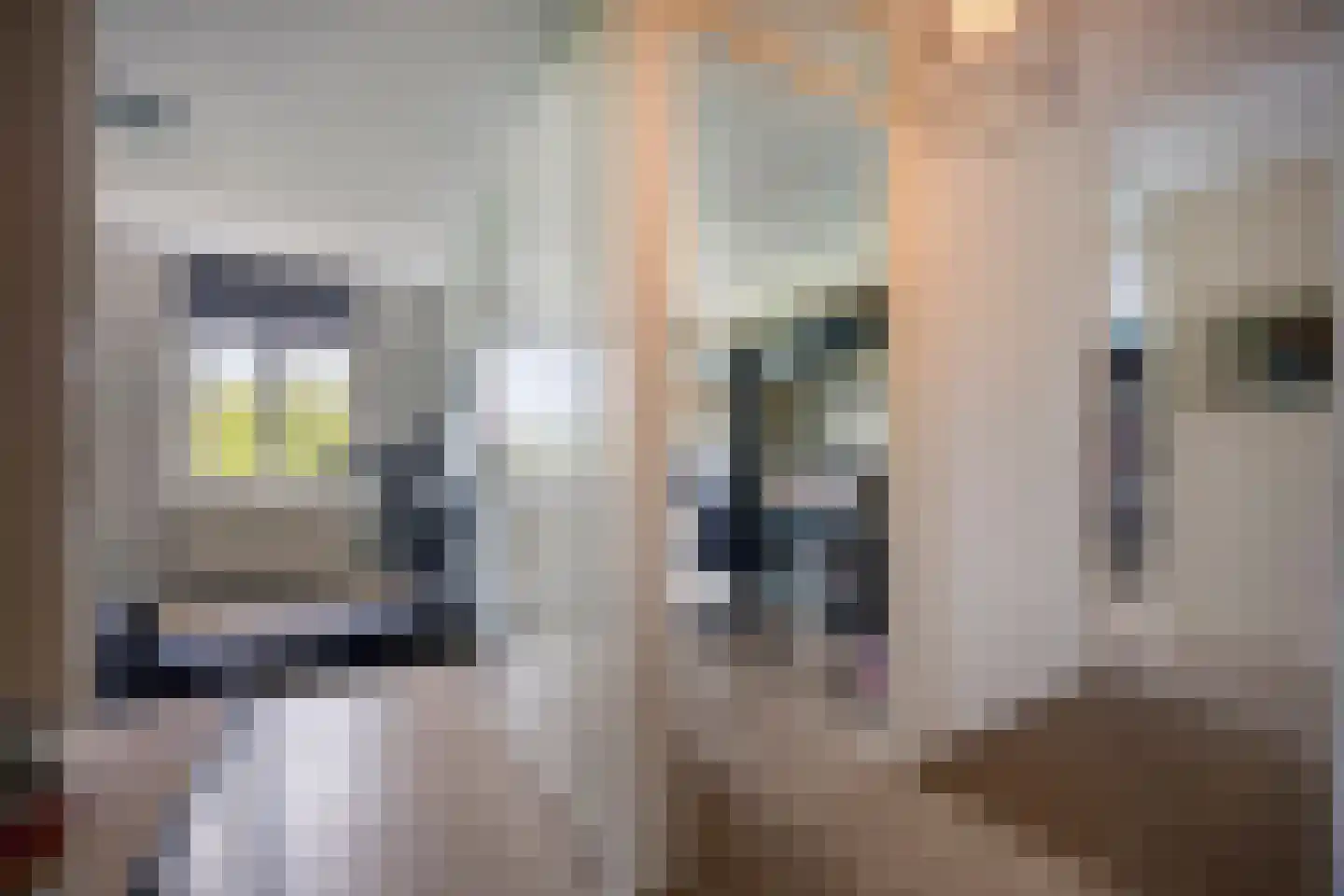 Zevenwoudenlaan 46 Den Haag thumbnail 31