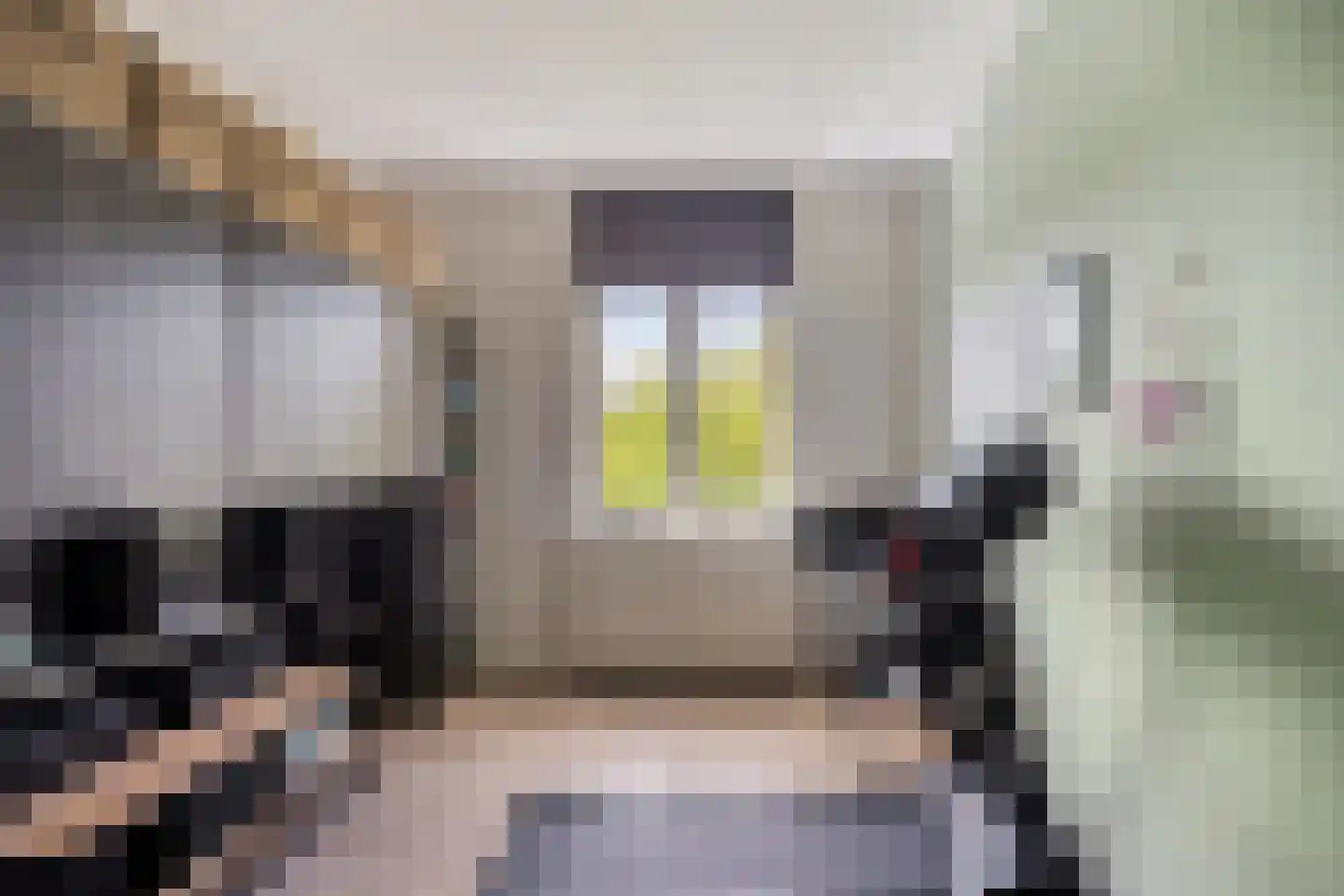 Zevenwoudenlaan 46 Den Haag thumbnail 32
