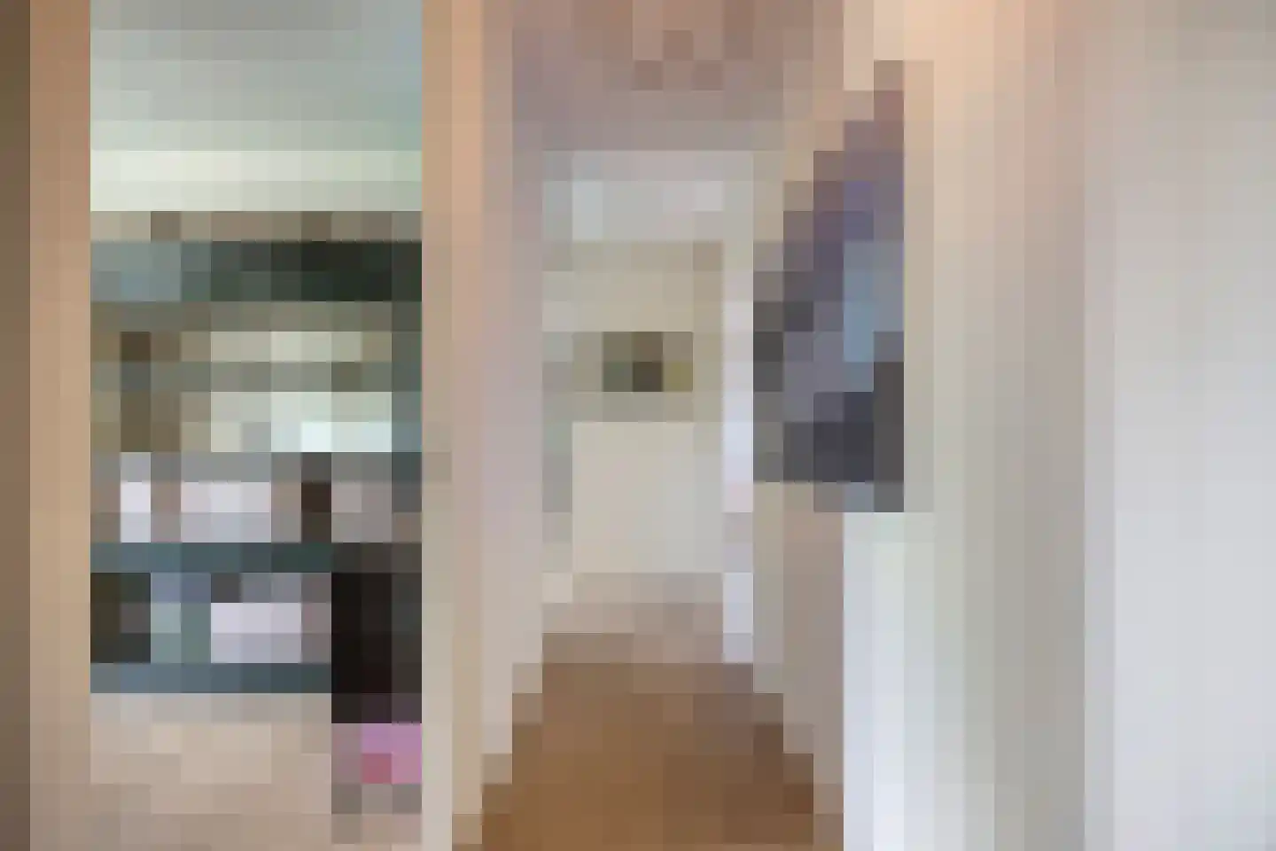 Zevenwoudenlaan 46 Den Haag thumbnail 37