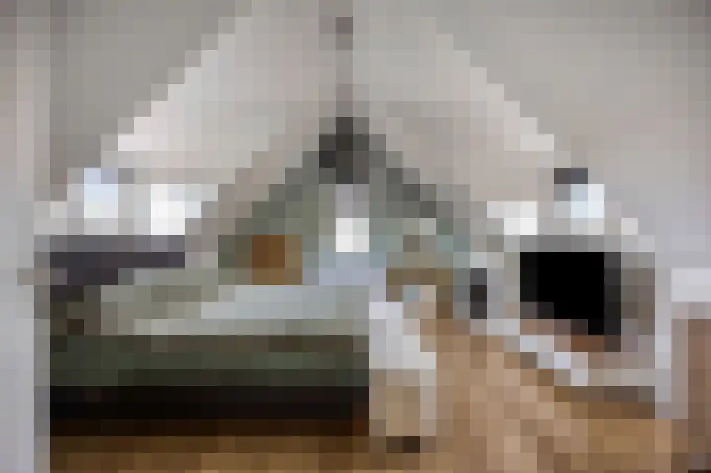 Zevenwoudenlaan 46 Den Haag thumbnail 42