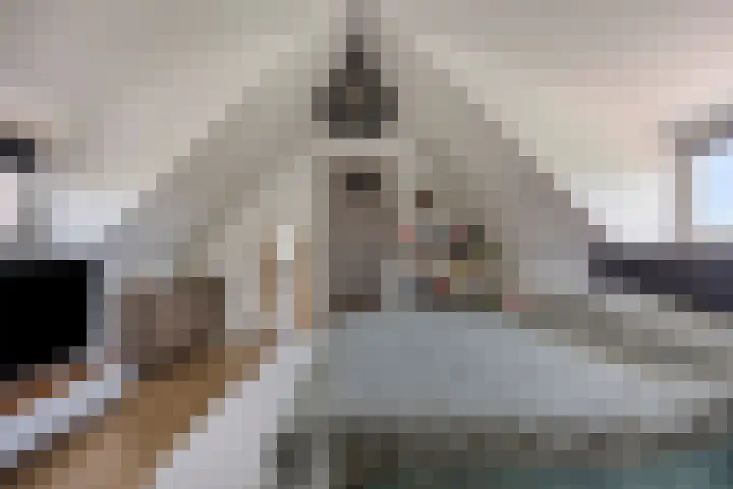Zevenwoudenlaan 46 Den Haag thumbnail 43