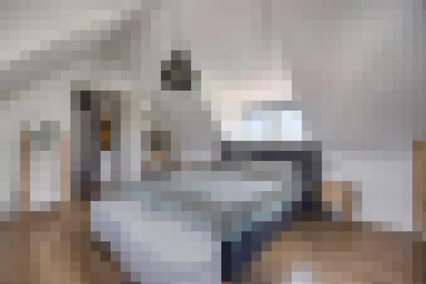 Zevenwoudenlaan 46 Den Haag thumbnail 45