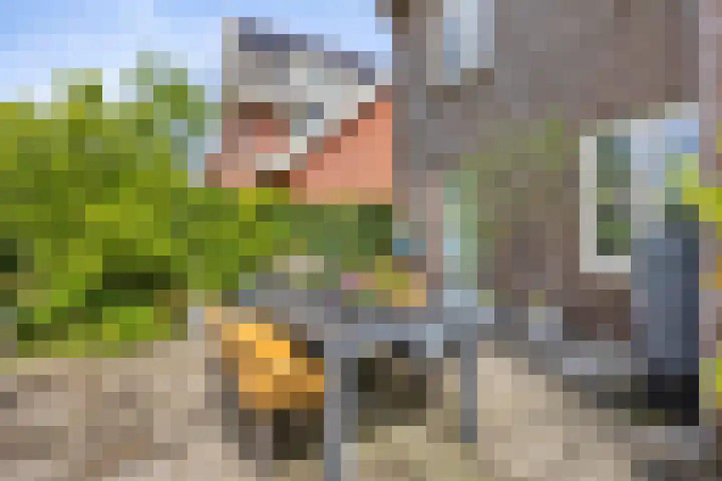 Zevenwoudenlaan 46 Den Haag thumbnail 62