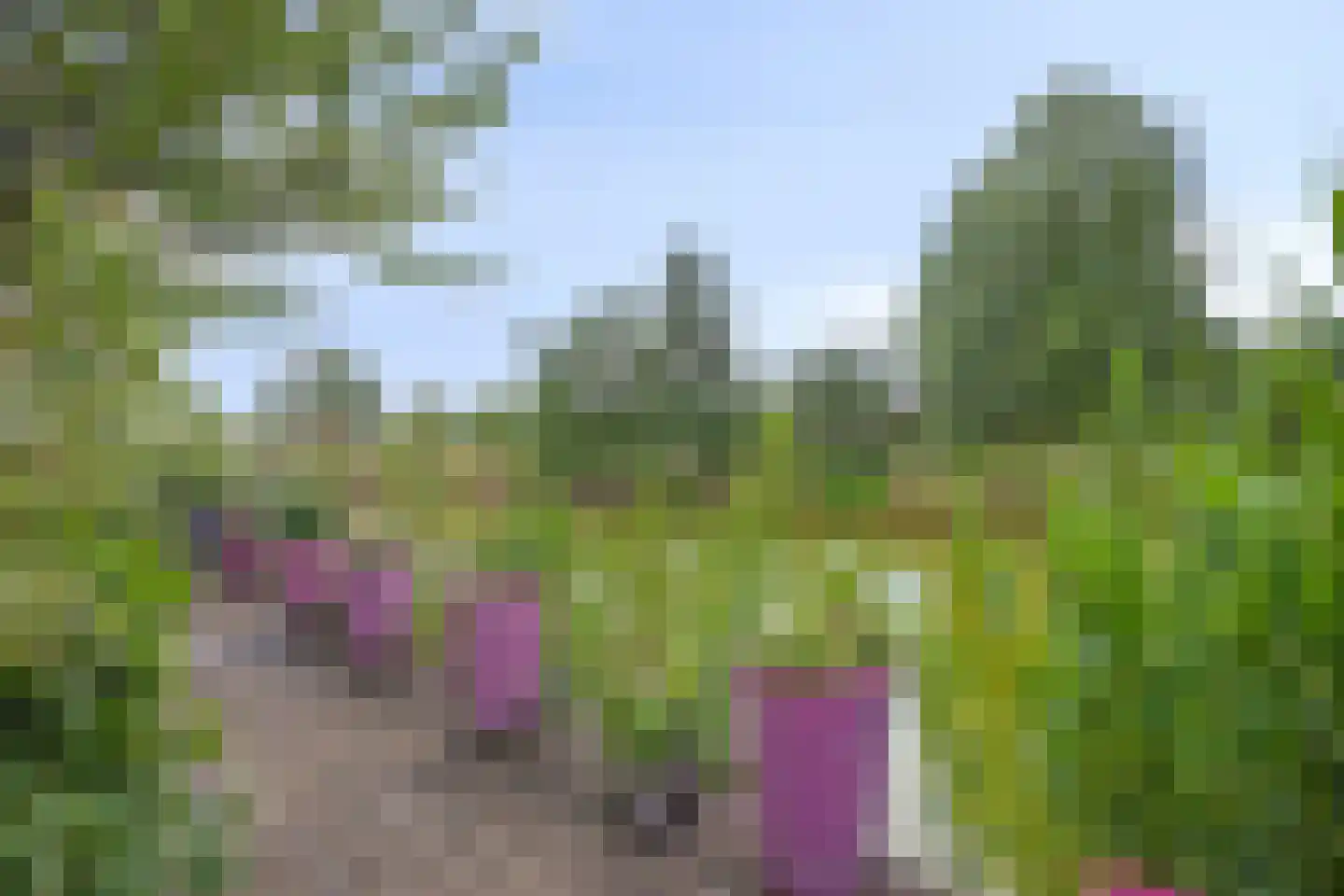 Zevenwoudenlaan 46 Den Haag thumbnail 64
