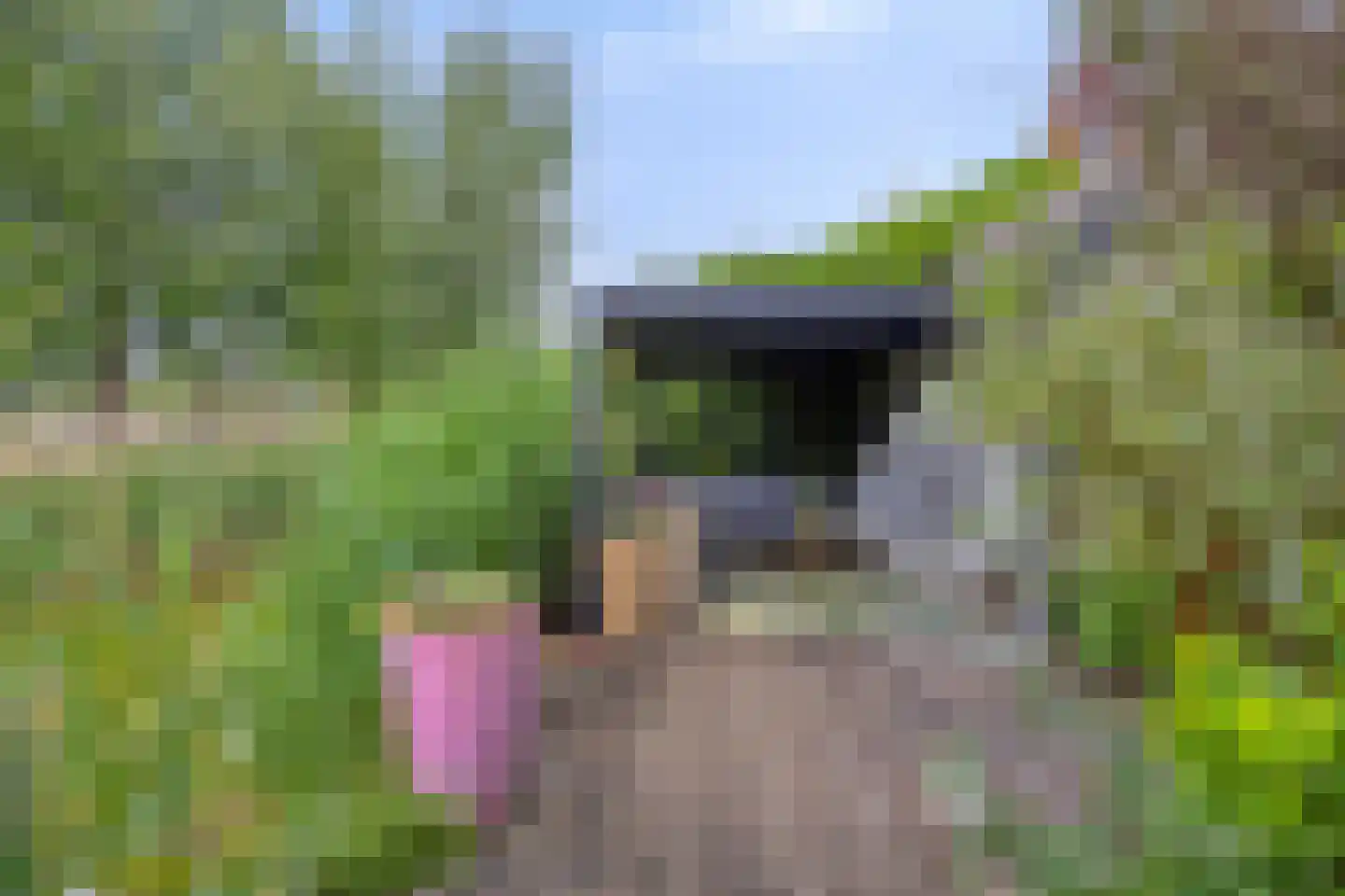 Zevenwoudenlaan 46 Den Haag thumbnail 65