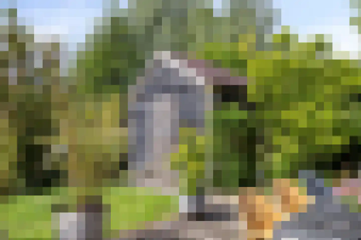 Zevenwoudenlaan 46 Den Haag thumbnail 69