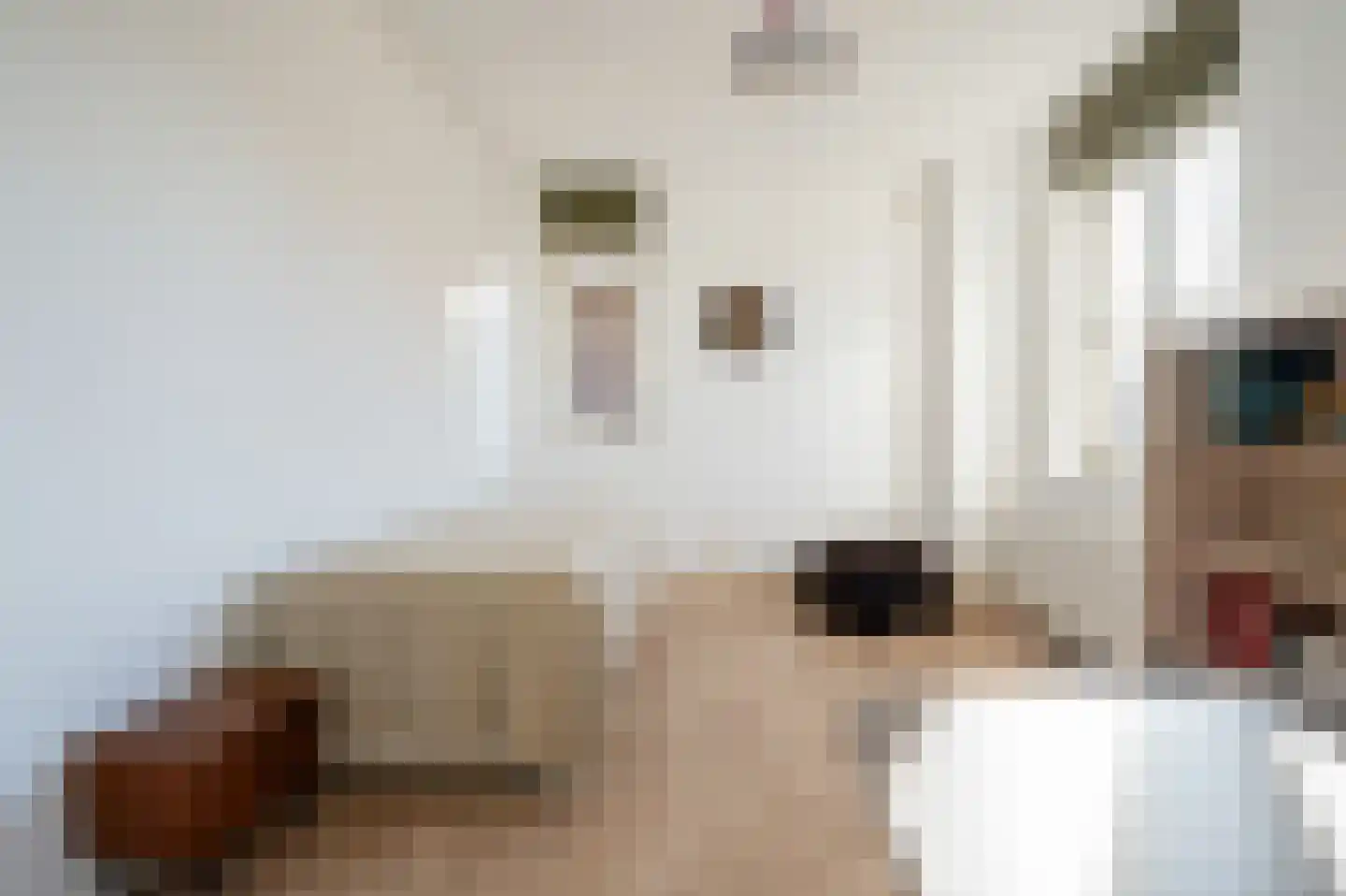 Zevenwoudenlaan 56 Den Haag thumbnail 35